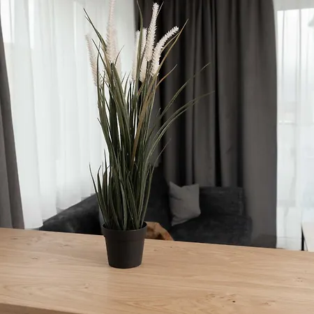 Daire A Casa Serenity *